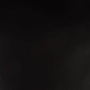 Meet your Posher, Carly